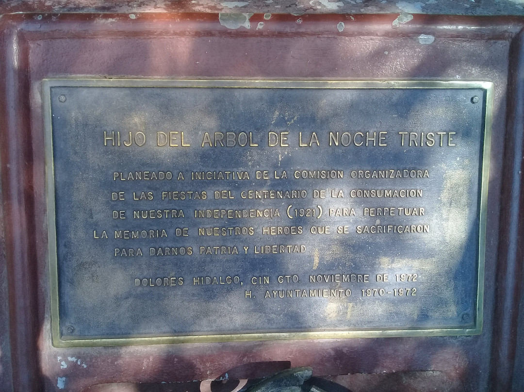 Plaza Principal - Jardin del Grande Hidalgo景点图片