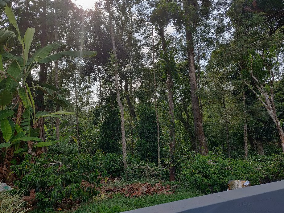 Lalithadri Homestay主图