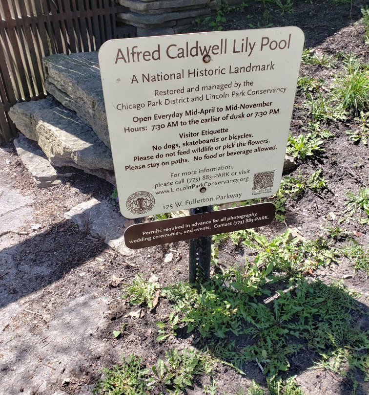 Alfred Caldwell Lily Pool景点图片