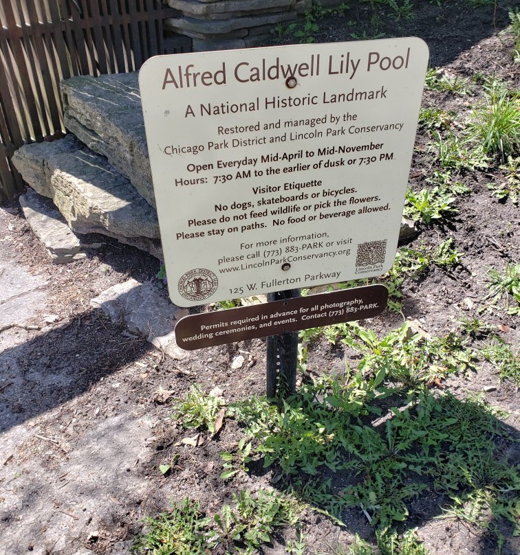 Alfred Caldwell Lily Pool-芝加哥必去景点