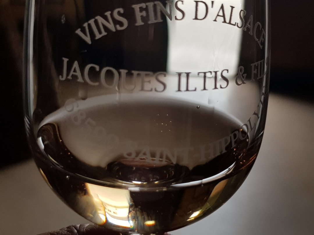 Domaine Jacques Iltis & Fils景点图片