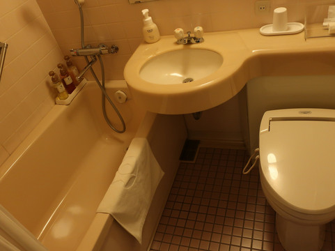 Tsuyama Kakuzan Hotel主图