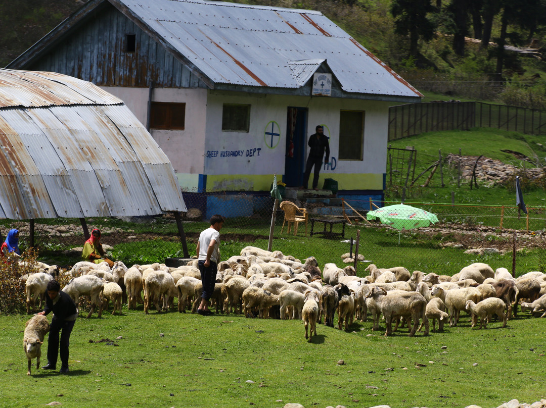 Yousmarg-斯利那加必去景点