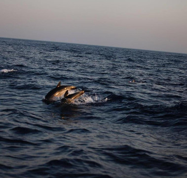 Vip Sailing Taormina