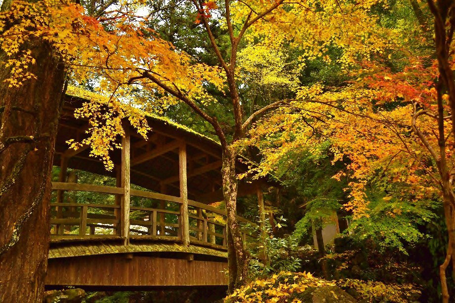Miyuki no Hashi-大洲市必去景点
