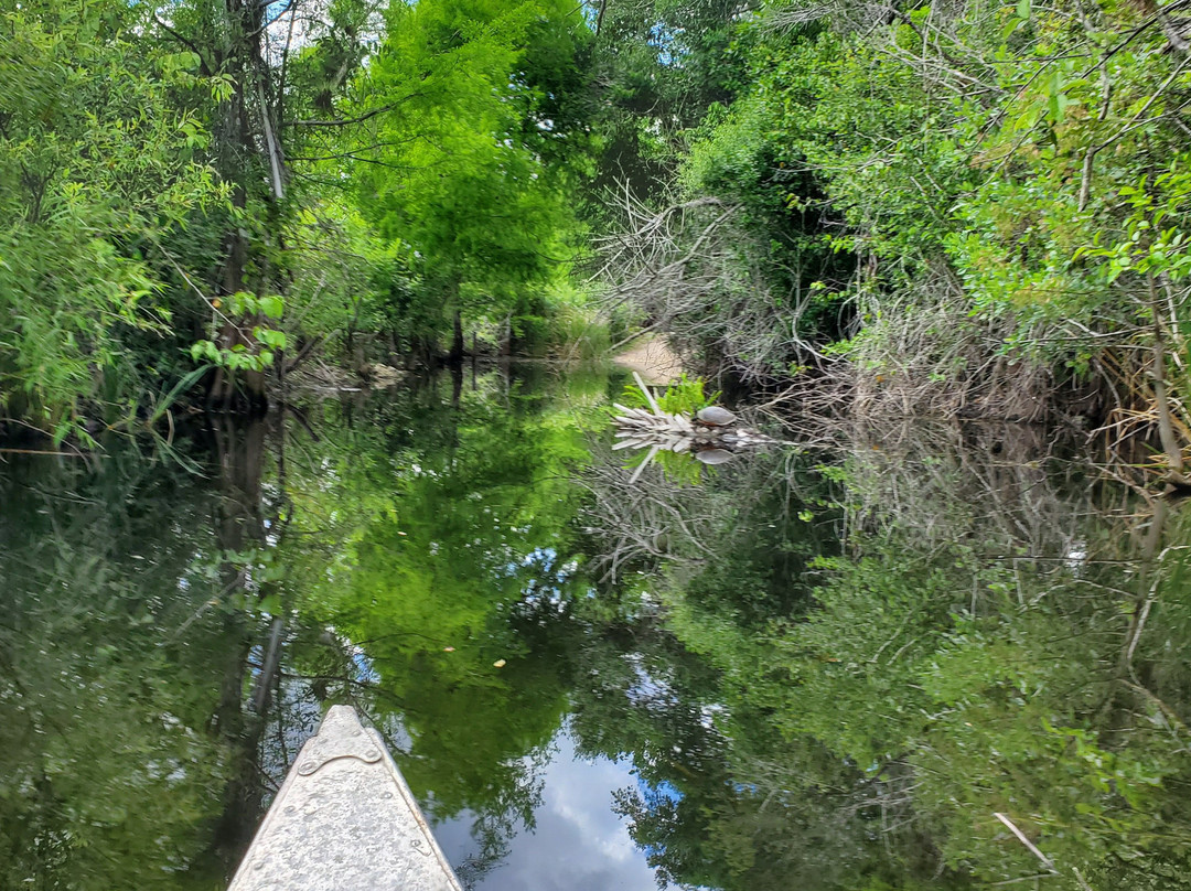 Turner River Paddling Trail-奥乔皮必去景点