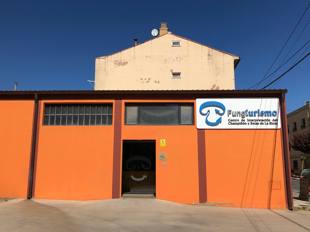 Fungiturismo-Pradejon必去景点