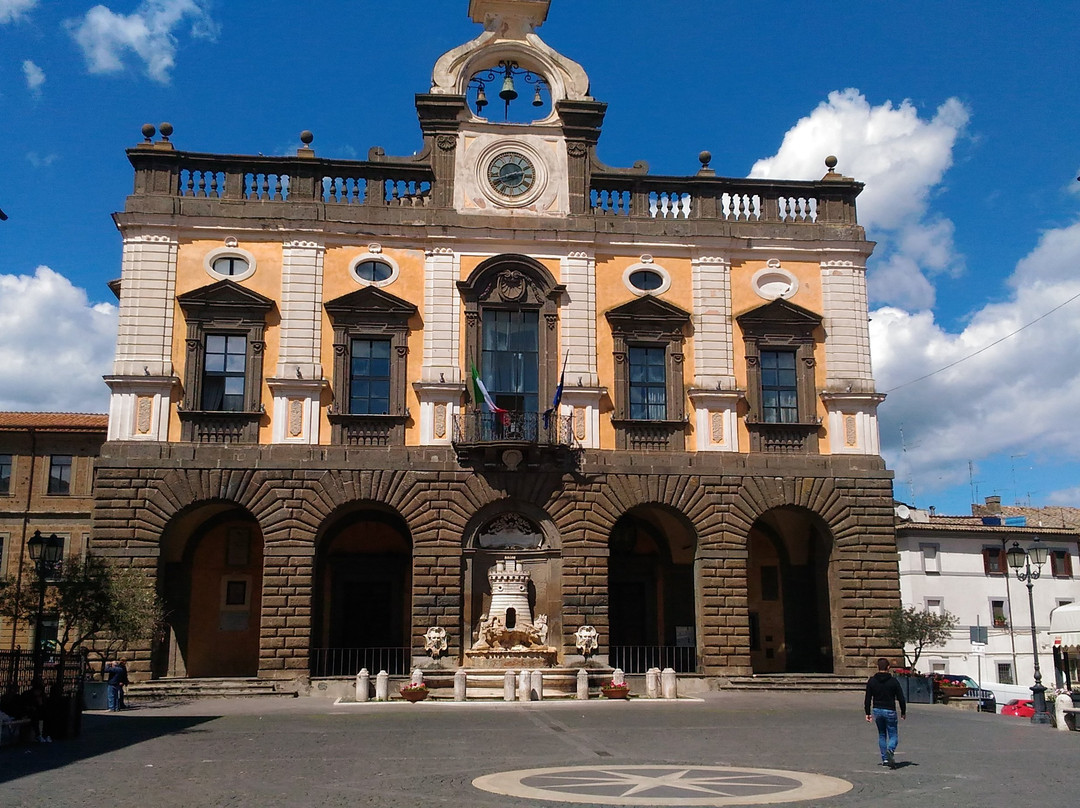 Palazzo Comunale景点图片