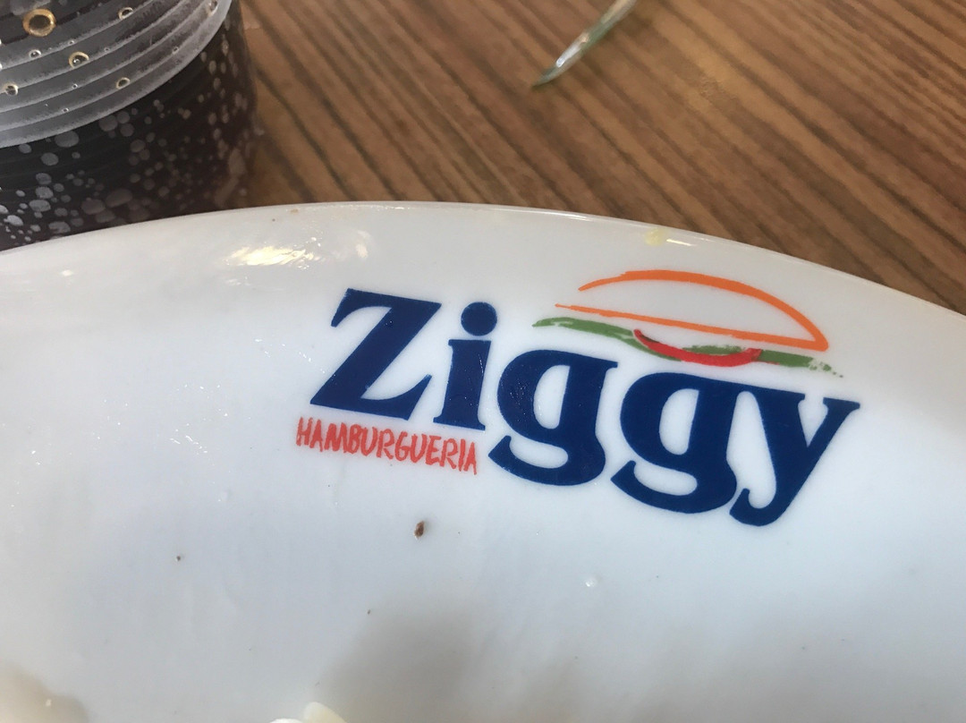 Ziggy Hamburgueria
