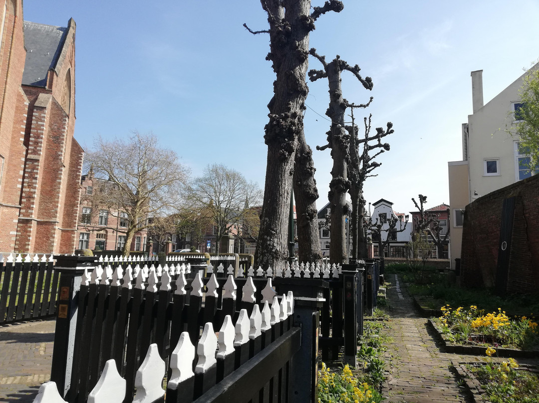 JOLA Tours - Schnipseljagd Noordwijk-诺德韦克必去景点