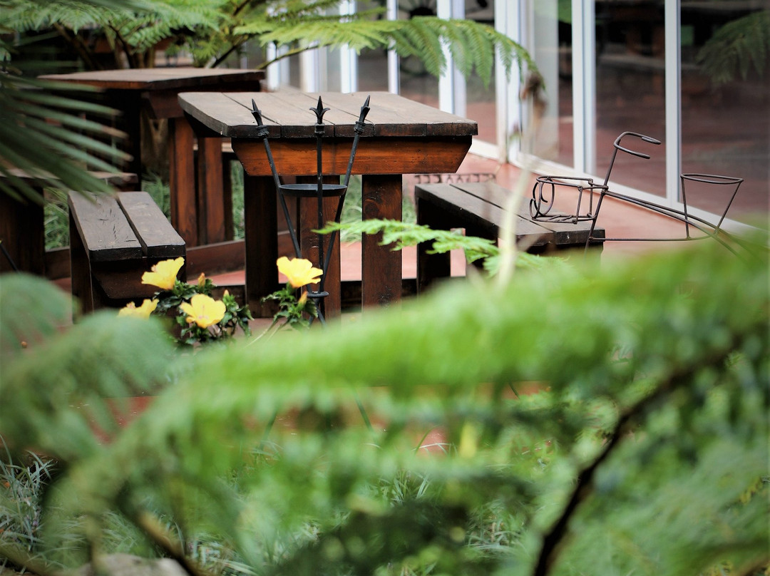 Elsje's Country Inn主图