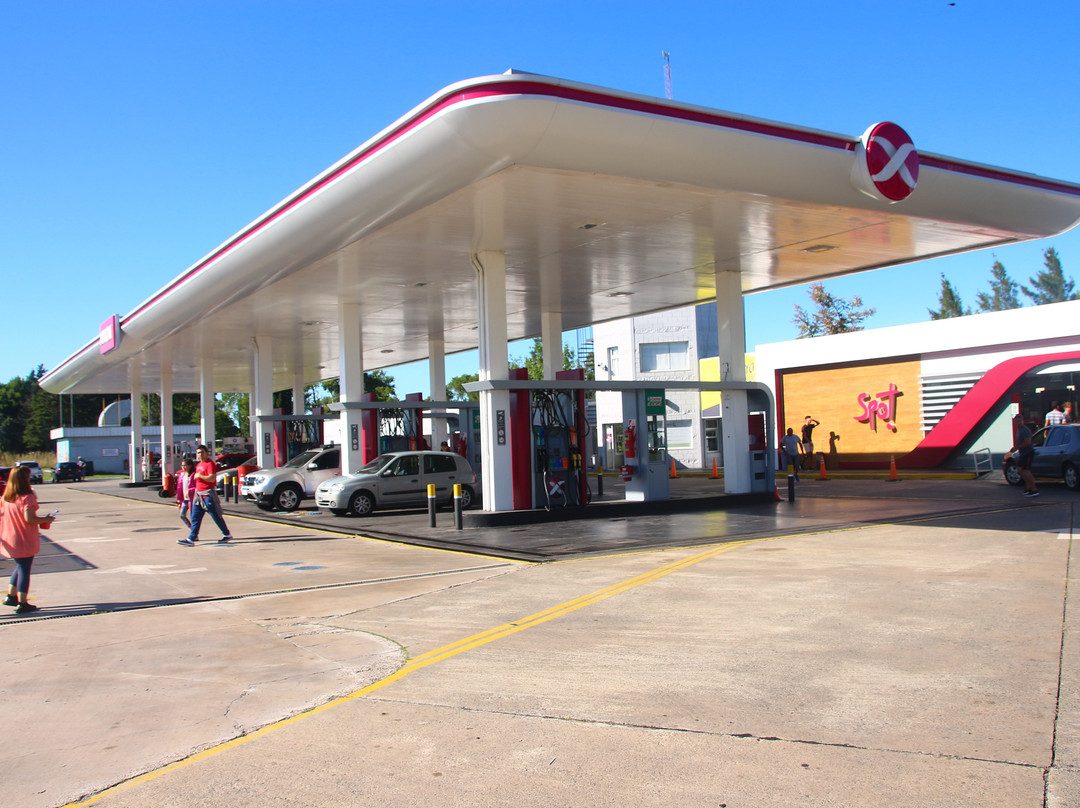 Axion Energy Dolores