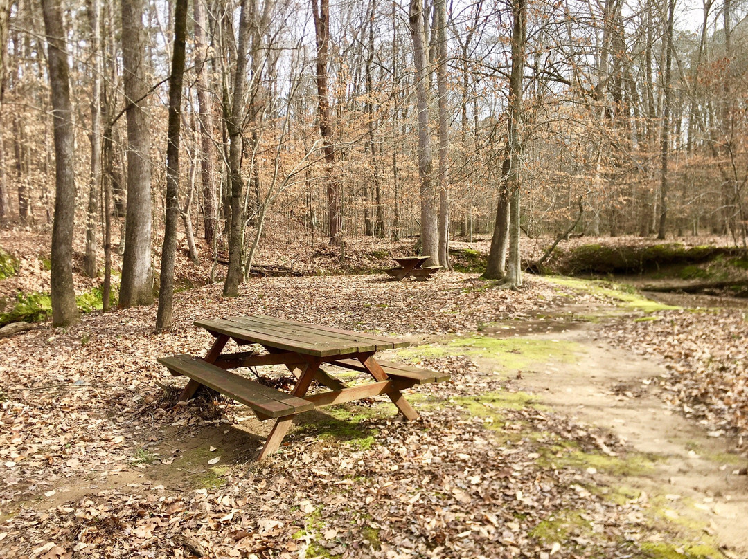 W.P. Jones Park-杜鲁斯必去景点