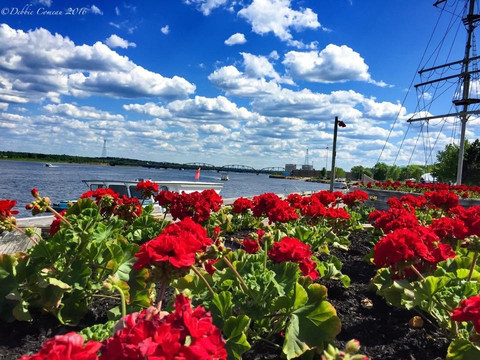 Miramichi River Boat Tours-Miramichi必去景点