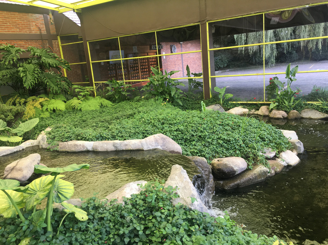 Hotel Oliver Inn Toluca主图