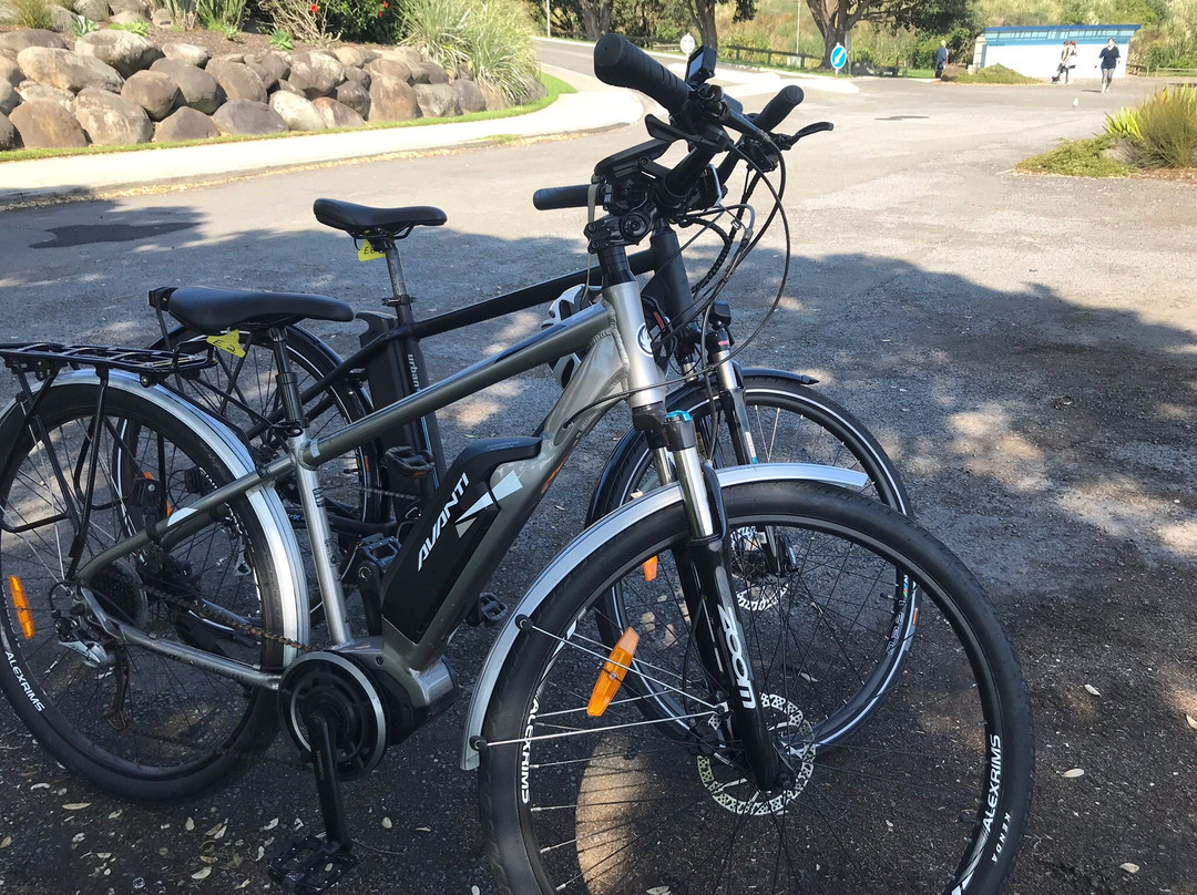 Cycle Inn-新普利默斯必去景点