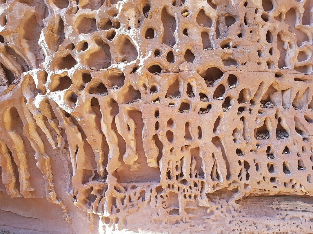 Kennedy Range National Park-卡那封必去景点