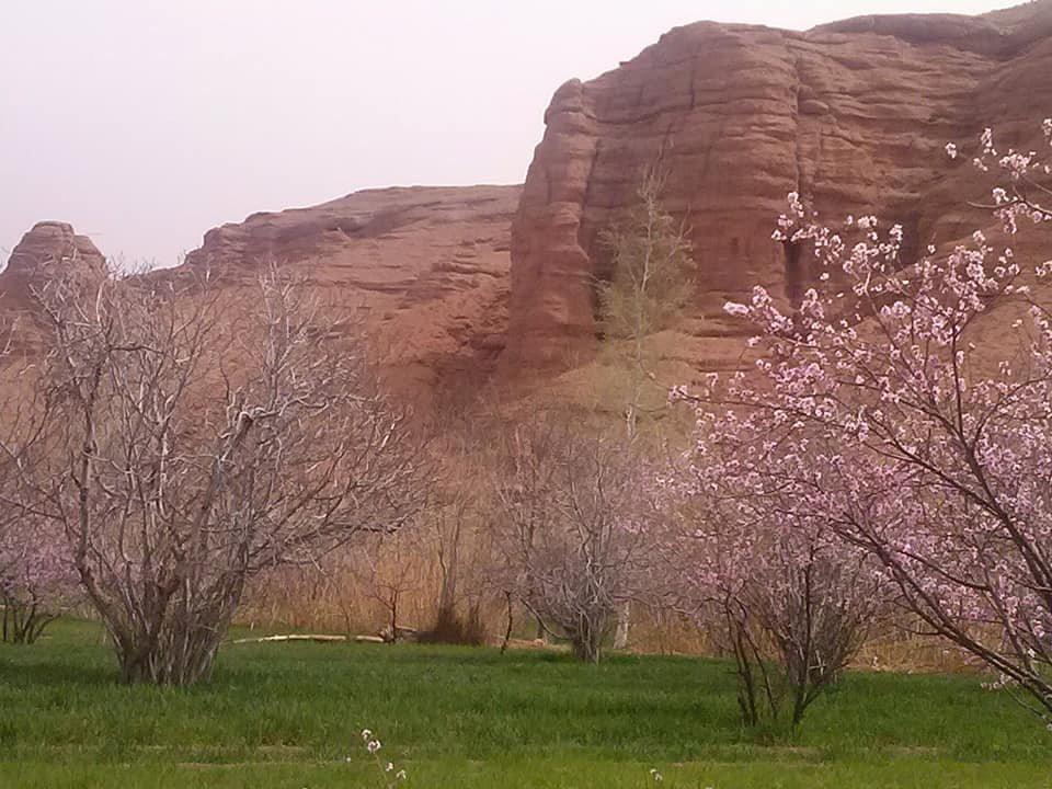 Auberge Atlas Dades主图