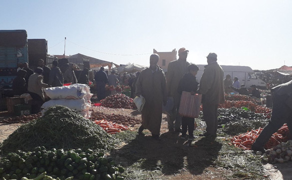 Visit Around Morocco-非斯必去景点