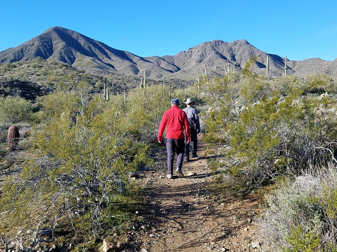 Dixie Mine Trail-Fountain Hills必去景点