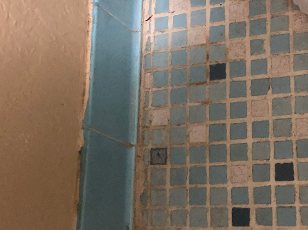 Rodeway Inn Sun City Center主图