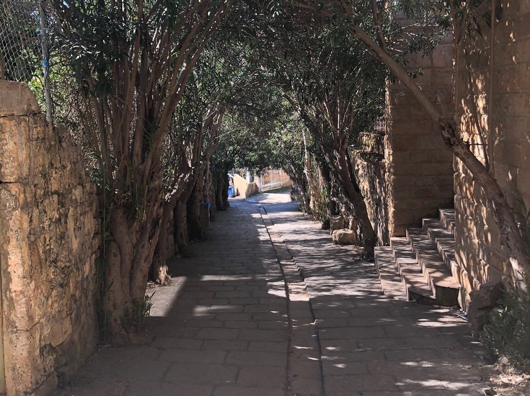 Byblos Citadel-朱拜勒必去景点