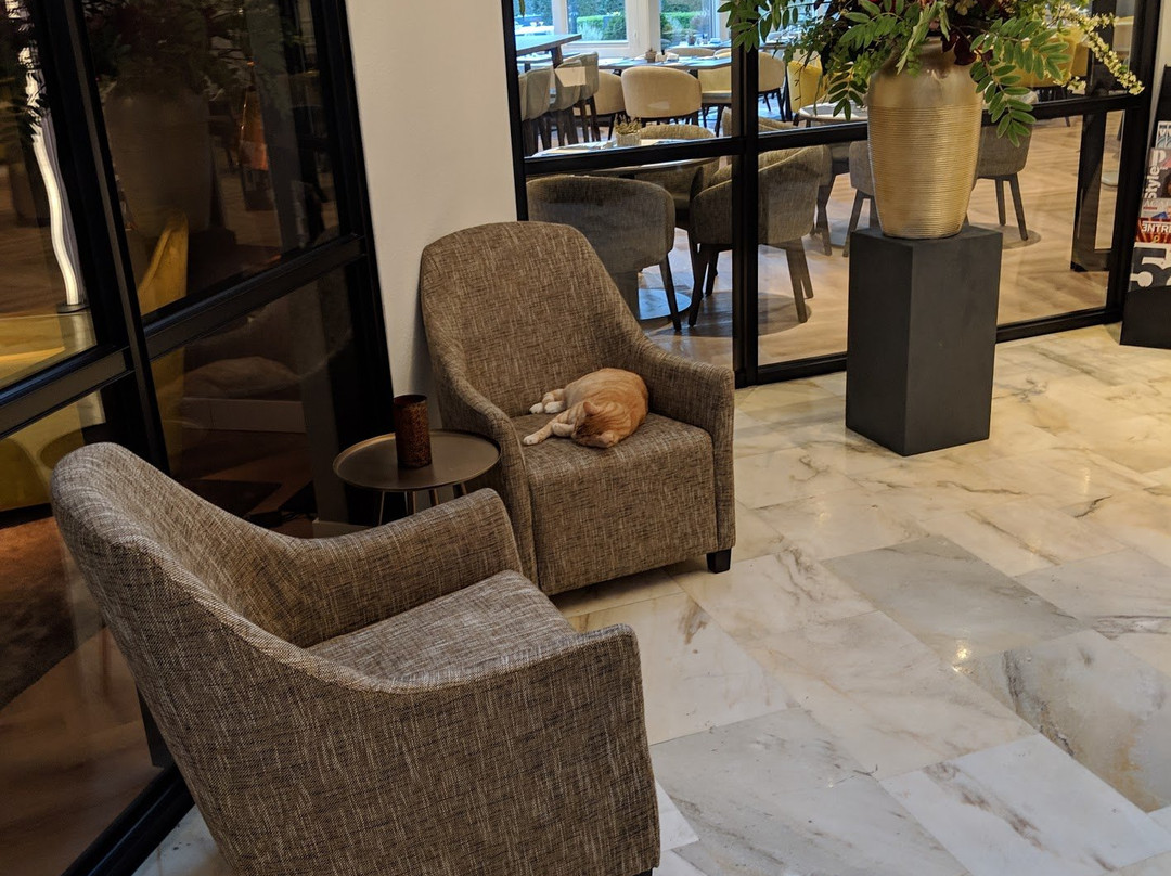 NH简塔巴克酒店主图