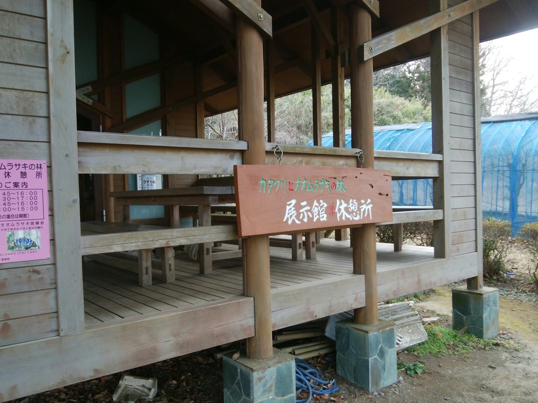 Katakuri to Omurasaki no Forest-小川町必去景点