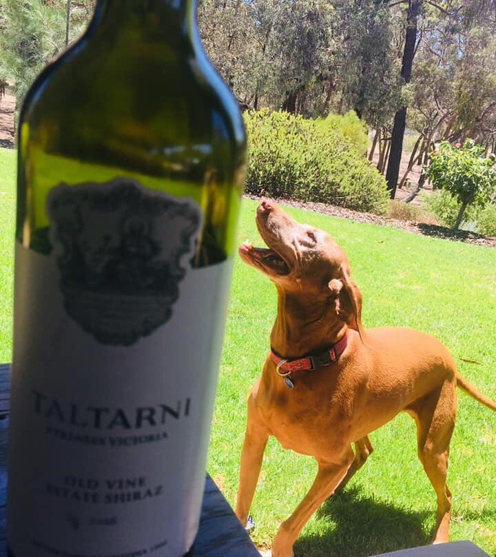 Taltarni Vineyards-Moonambel必去景点