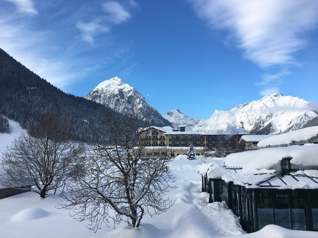 Hotel Der Wiesenhof主图