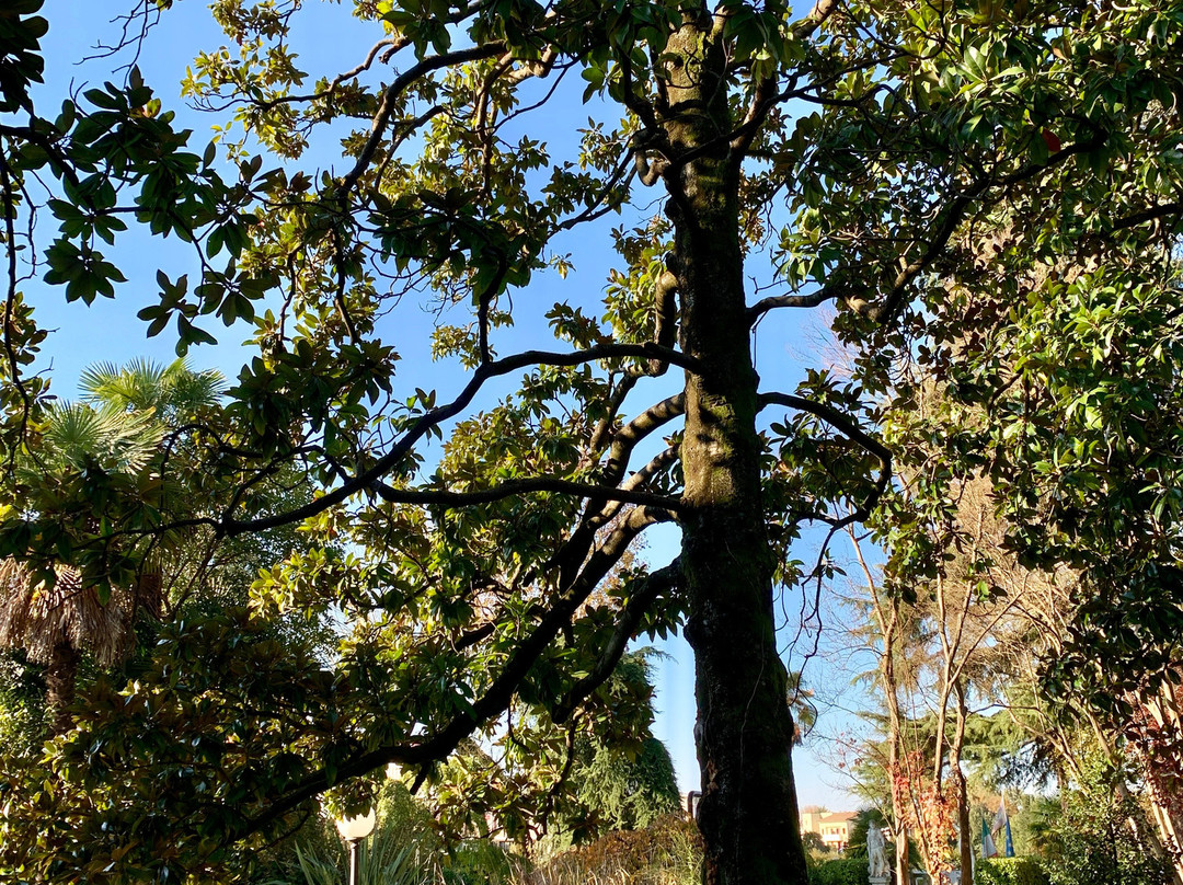 Villa Pace Park Hotel Bolognese主图