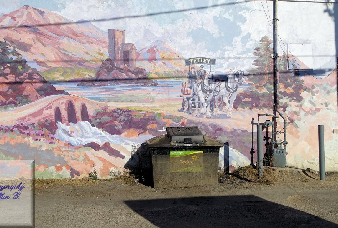 Murals of Moose Jaw-穆斯乔必去景点