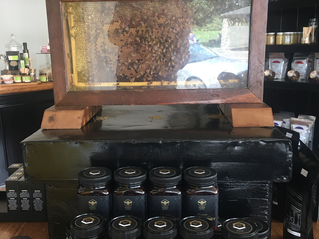Honey and the bee景点图片
