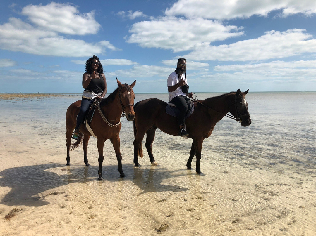 Happy Trails Stables-Coral Harbour必去景点