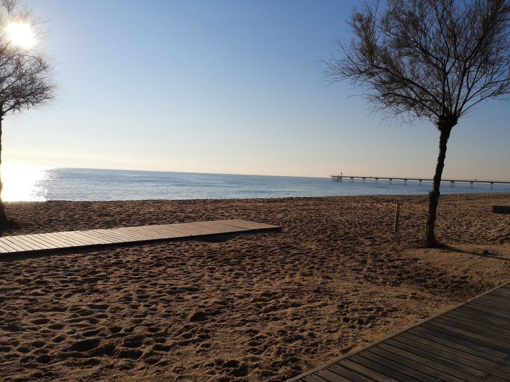 Playa de la Estacion景点图片