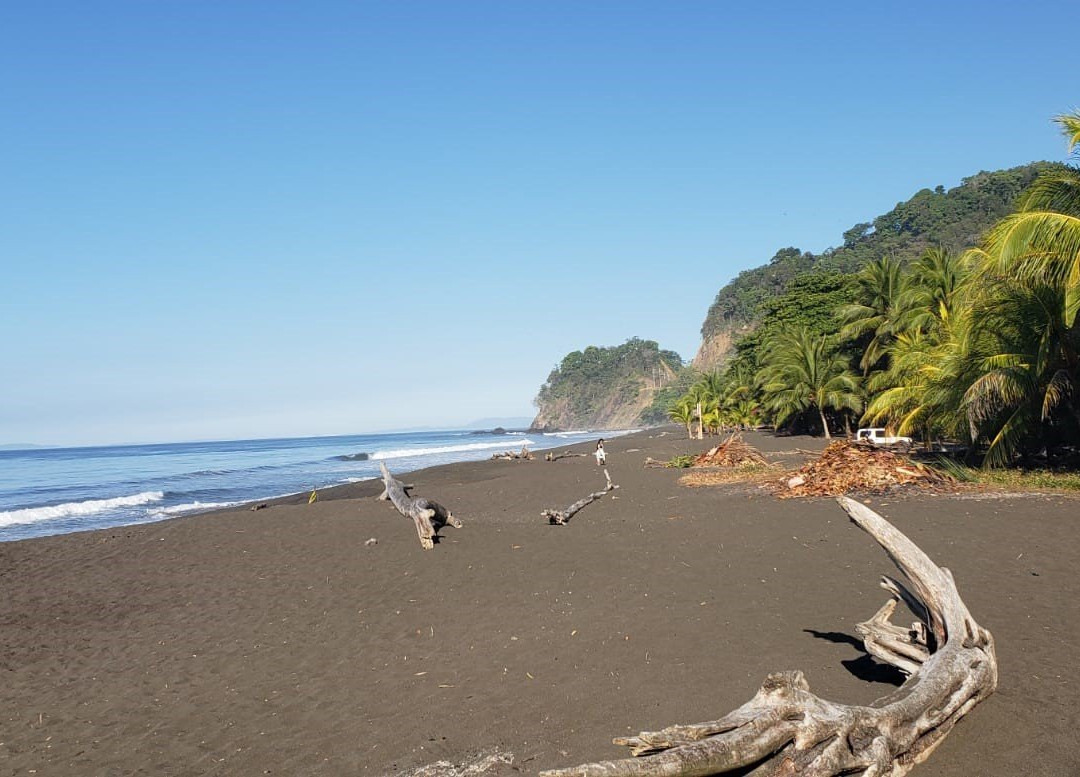 Hermosa Beach House主图