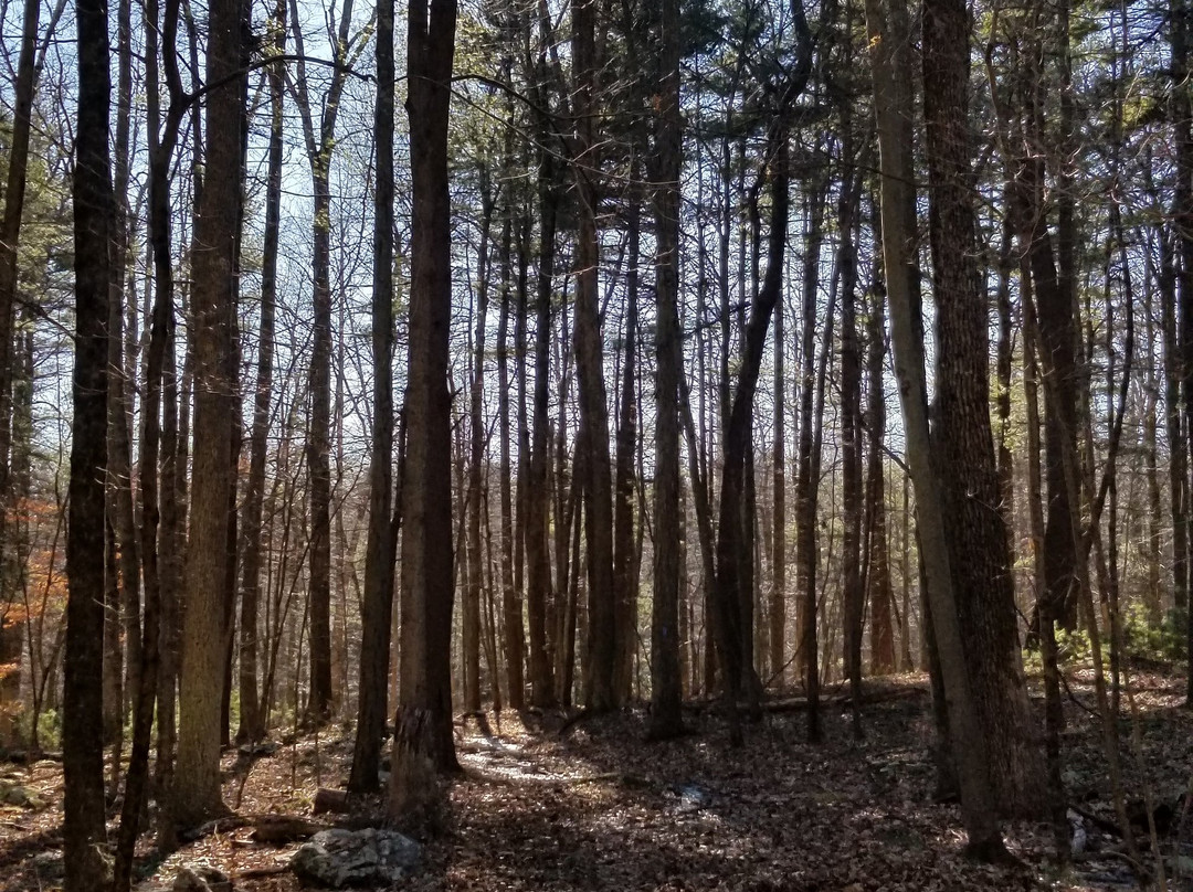 Flanders Nature Center-Woodbury必去景点