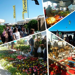 Casariche旅游攻略图片