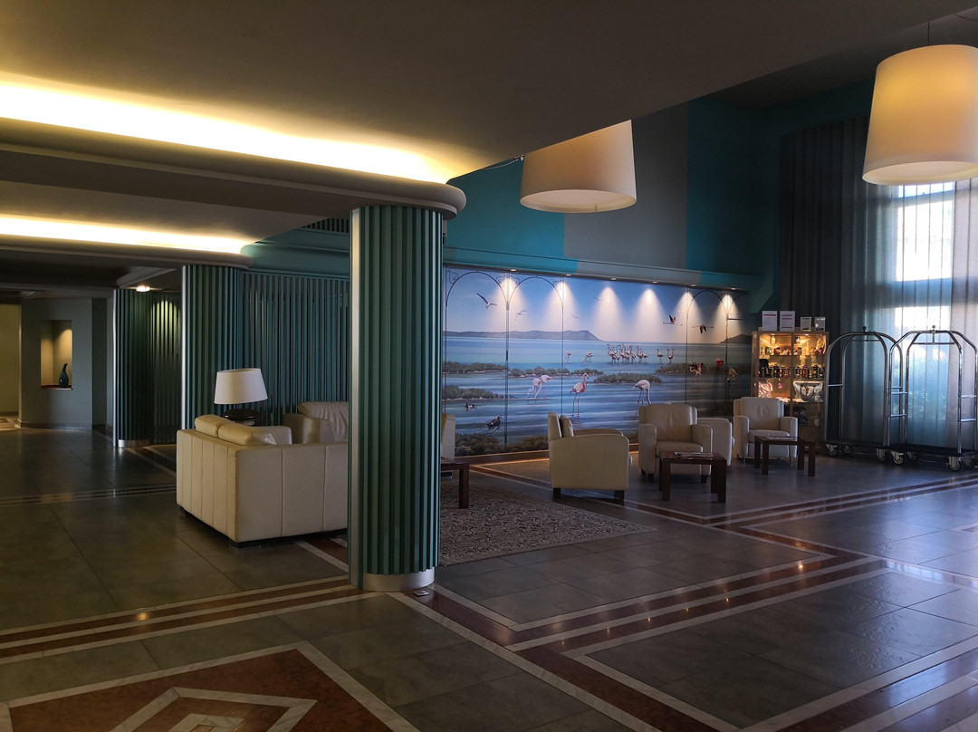Grand Hotel Les Flamants Roses主图