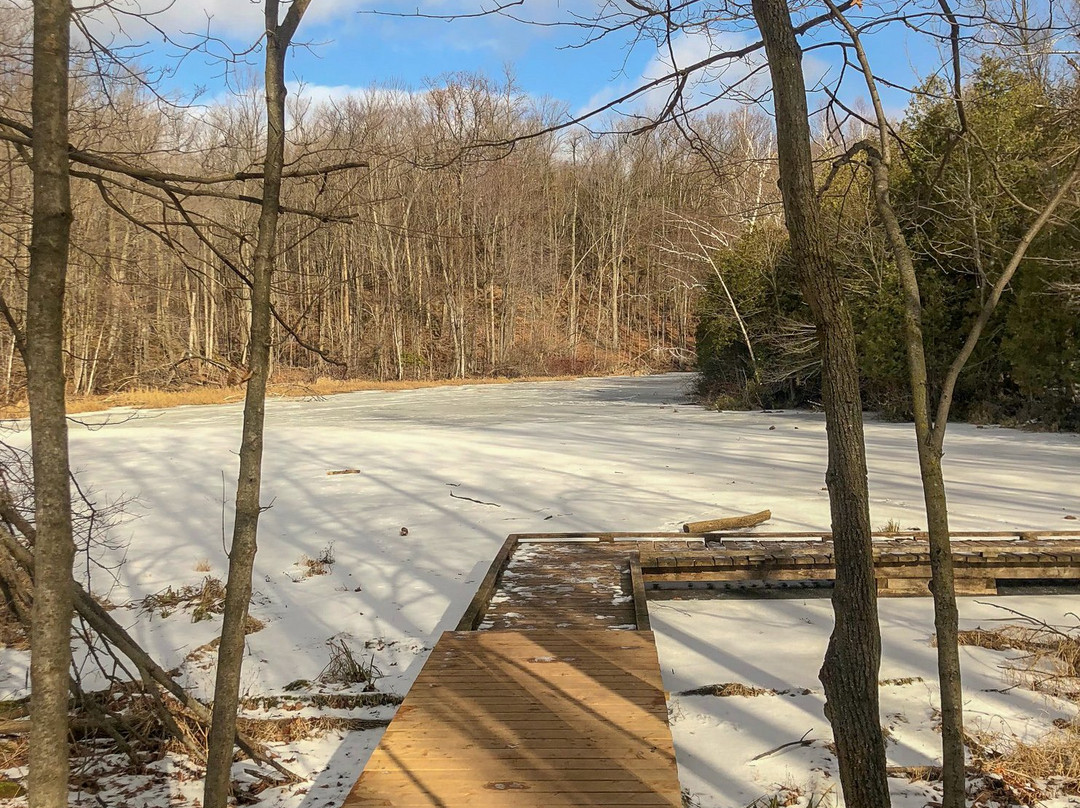 Silver Creek Conservation Area-Georgetown必去景点