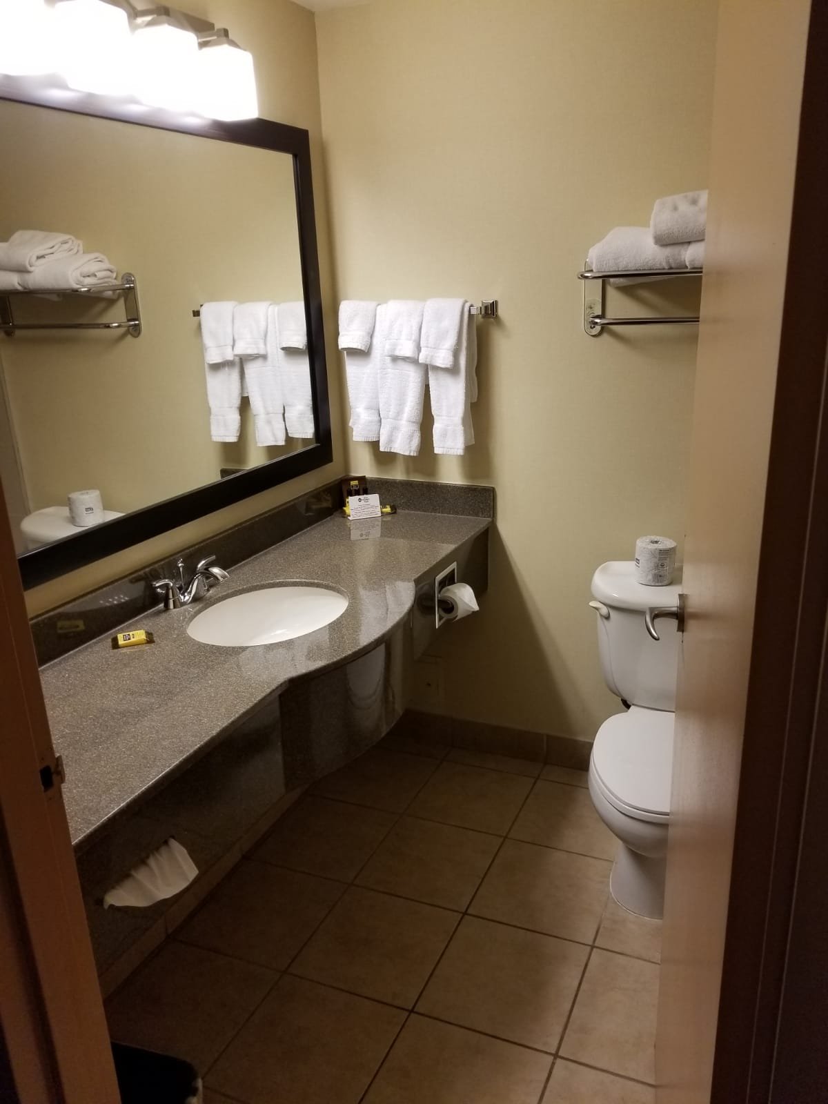 Best Western Plus Burlington Inn & Suites-浴室