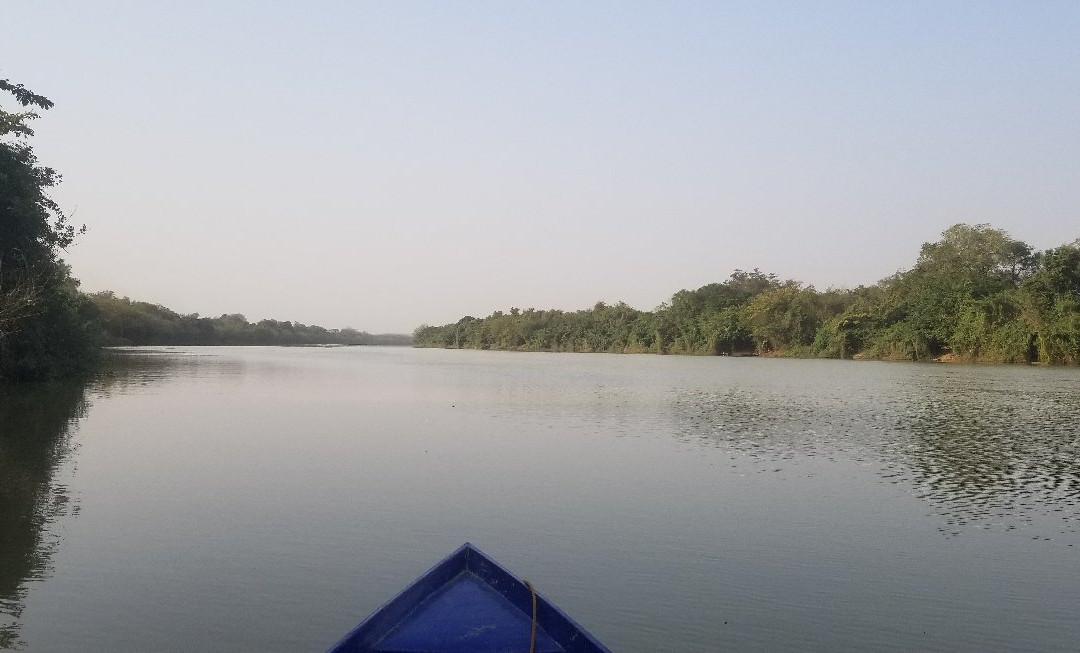 Wechiau Community Hippo Sanctuary景点图片