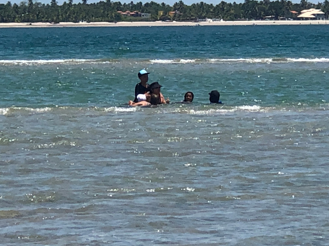 Barra do Jiquirica Beach-Valenca必去景点