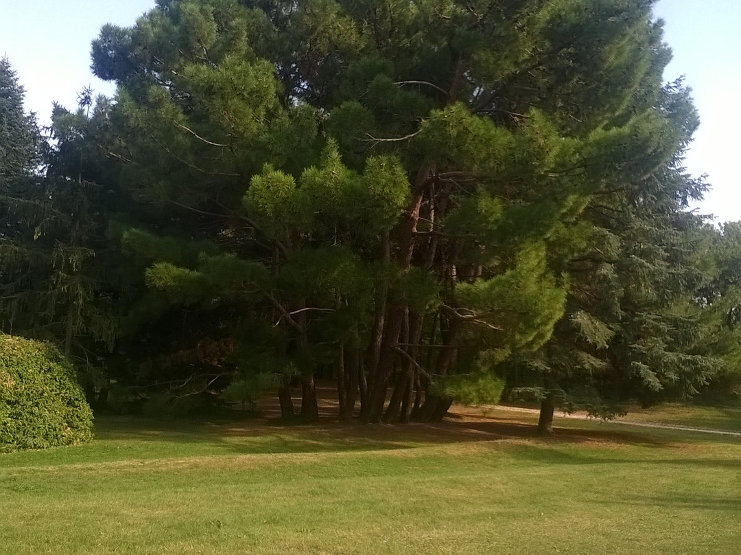 Botanical Garden Ecopark-瓦尔纳必去景点
