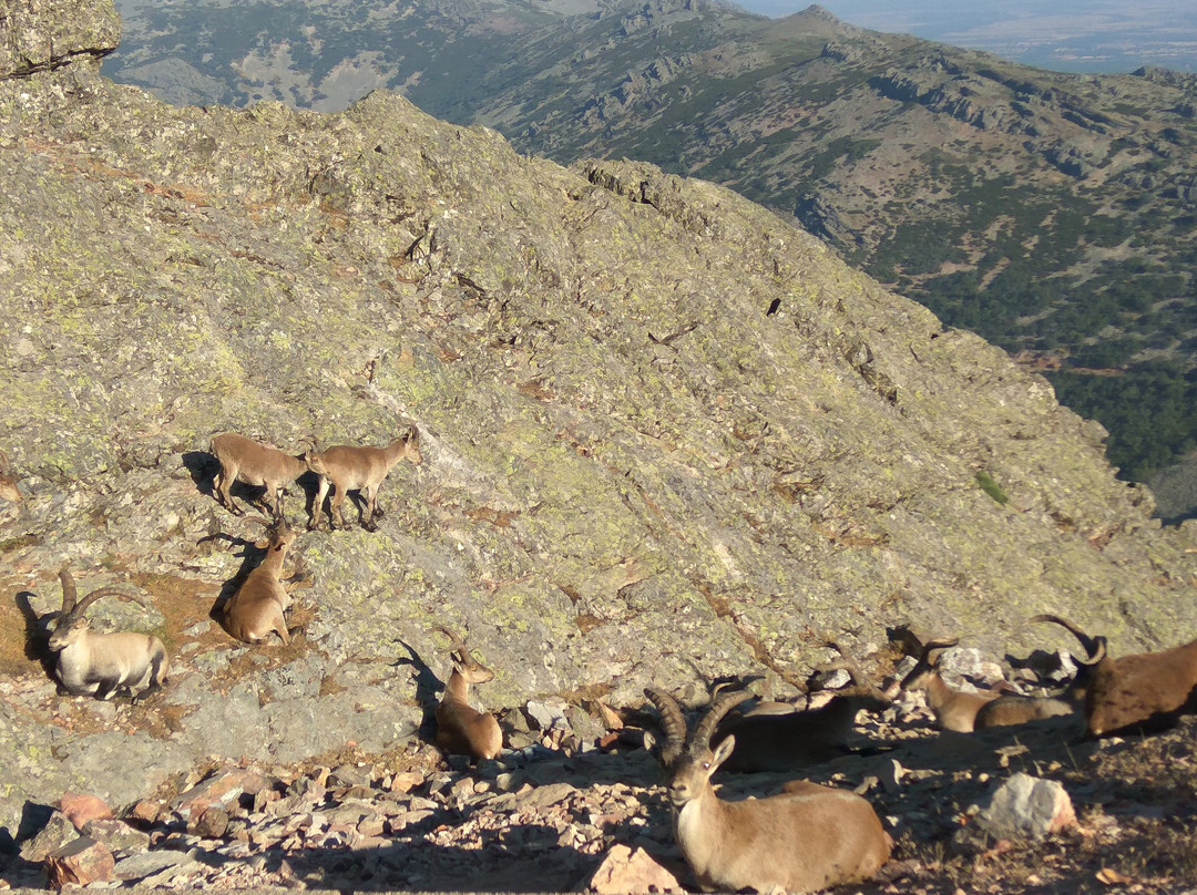 Hospedería Pena de Francia主图