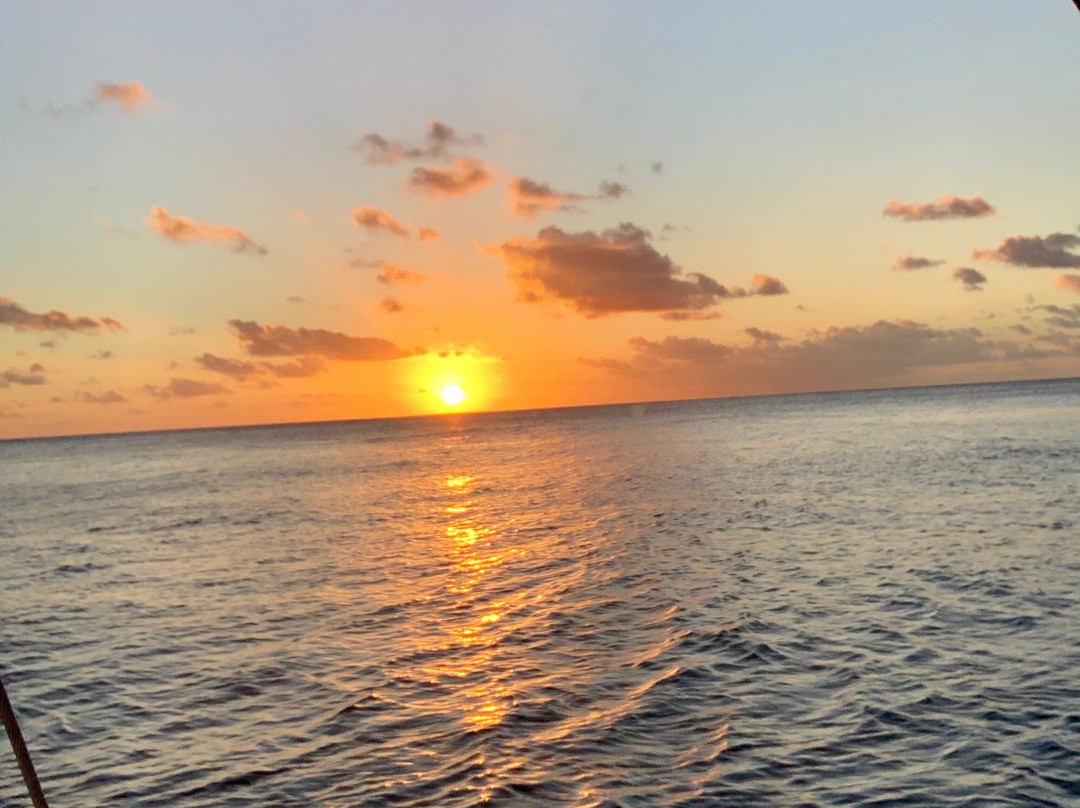 Super Cats-布里奇顿必去景点