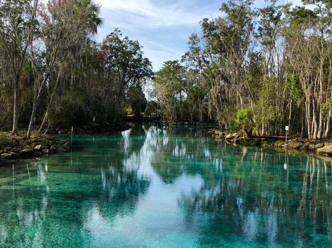 Majestic Manatee Tours - Day Tours-克里斯特尔里弗必去景点