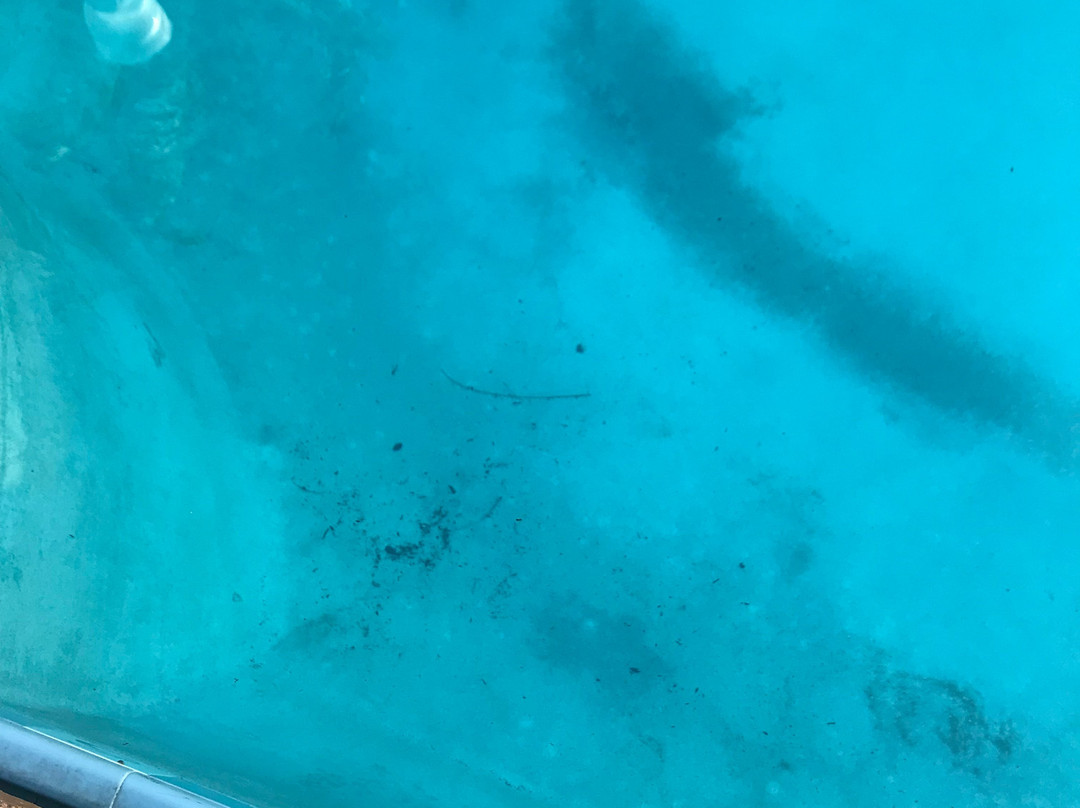 Fairfield by Marriott Inn & Suites Palm Beach主图