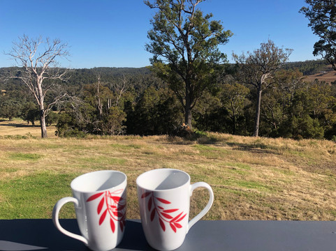 斯卡勒特森林度假屋主图