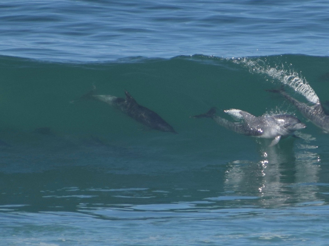 On the Beach Wilderness主图